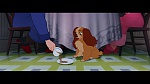 Image The Lady and the Tramp
