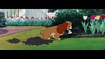 Image The Lady and the Tramp
