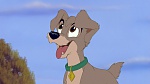 Image Lady and the Tramp II: Scamp's Adventure