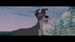 Image The Lady and the Tramp