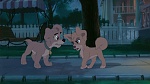 Image Lady and the Tramp II: Scamp's Adventure