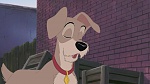 Image Lady and the Tramp II: Scamp's Adventure