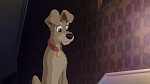 Image Lady and the Tramp II: Scamp's Adventure