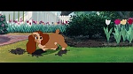 Image The Lady and the Tramp