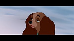 Image The Lady and the Tramp