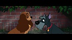 Image The Lady and the Tramp