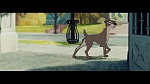 Image The Lady and the Tramp