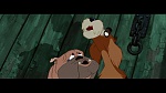 Image The Lady and the Tramp