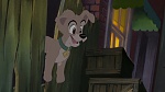 Image Lady and the Tramp II: Scamp's Adventure