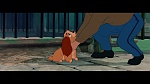 Image The Lady and the Tramp