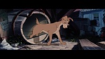 Image The Lady and the Tramp