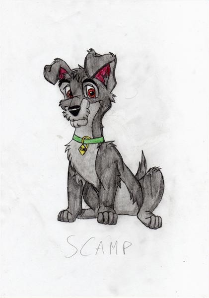Scamp 3