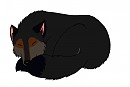 Shh...Chogan is sleeping
