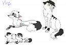 The Blackpaws-request from laura