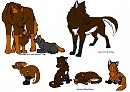 Moon,Oliver, and their six pups.