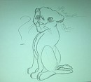 Sad Simba :(
