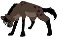 Xolani