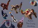 Rafiki