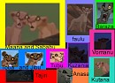 Outlanders lionesses names