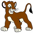 Kocom  as a Cub