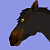 Tai' Sahara Shaygetzi