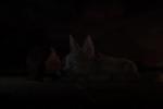 Bolt screenshots gallery