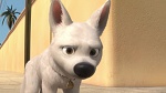 Volt Star Malgr� Lui picture
