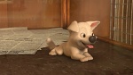 Volt Star Malgr� Lui picture