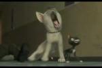 Bolt video clips