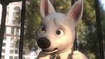 Volt Star Malgr� Lui picture