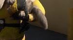 Volt Star Malgr� Lui picture