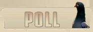 Poll