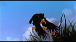 Image Brisby et le secret de NIMH