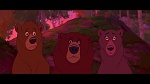 Brother Bear