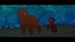 Brother Bear picture