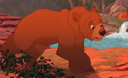 Detail Kenai (Bear)