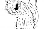 Coloring pages
