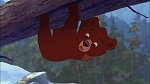 Brother Bear 2 picture