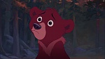 Brother Bear 2 picture