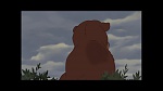 Brother Bear picture