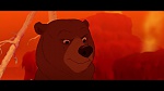 Brother Bear