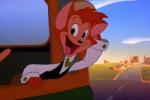 Cat's Don't Dance overview
