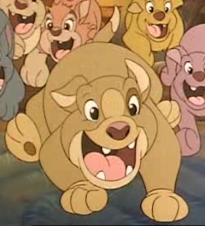 Detail Chiot Detail Chiot