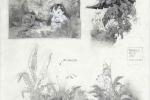 Concept art - d�cors de Lilo et Stitch de Disney