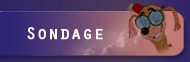 Sondage