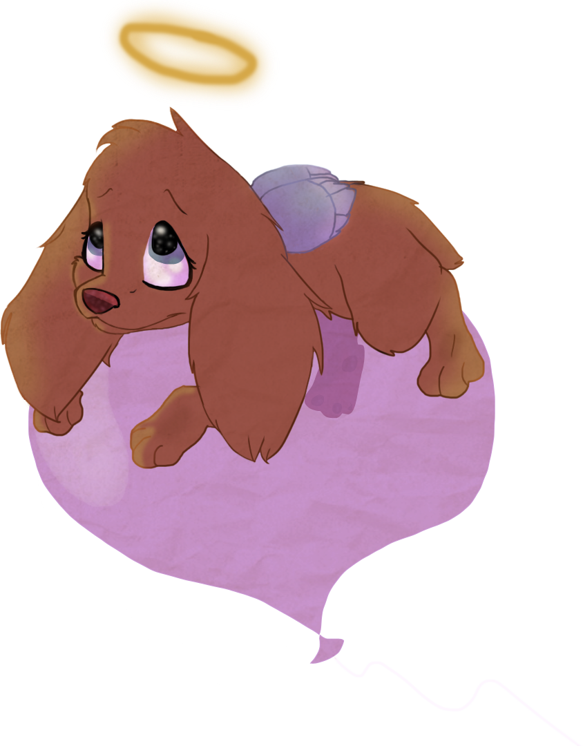 projet2_copie.png