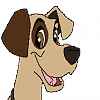 Bruno (AAZ)