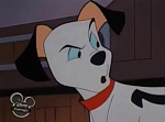 101 Dalmatians :  picture