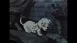 101 Dalmatians picture