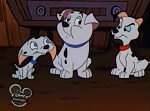 101 Dalmatians : 